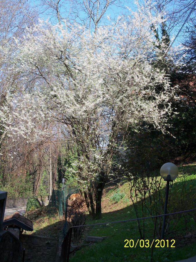 Bed & Breakfast I Ghiri 4*