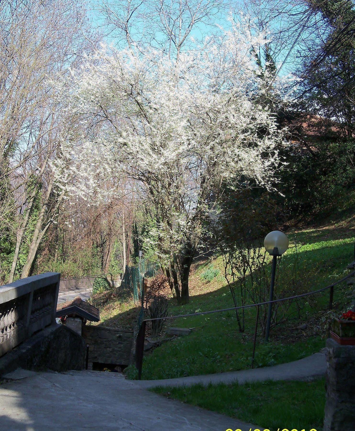 I Ghiri Bed & Breakfast Bergamo